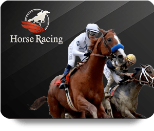 1xBet Thể Thao VIP: Tips for Novice Bettors to Succeed